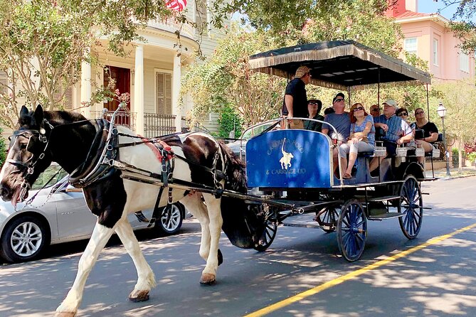 Charleston Horse & Carriage Historic Sightseeing Tour - Price and Value: Why $45 Can Make Sense