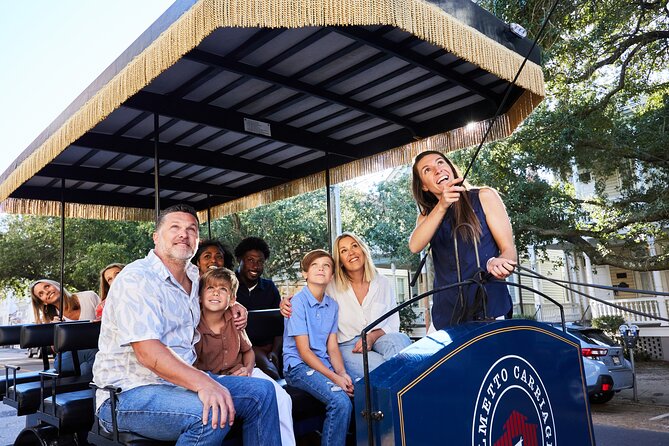 Charleston Horse-Drawn Carriage Tour: Explore Historic Charleston - Horses Up Close: Photo Angles and Care You Can Sense