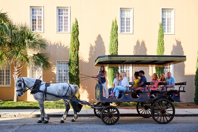 Charleston Horse-Drawn Carriage Tour: Explore Historic Charleston - Best for Families, Couples, and Mobility Needs