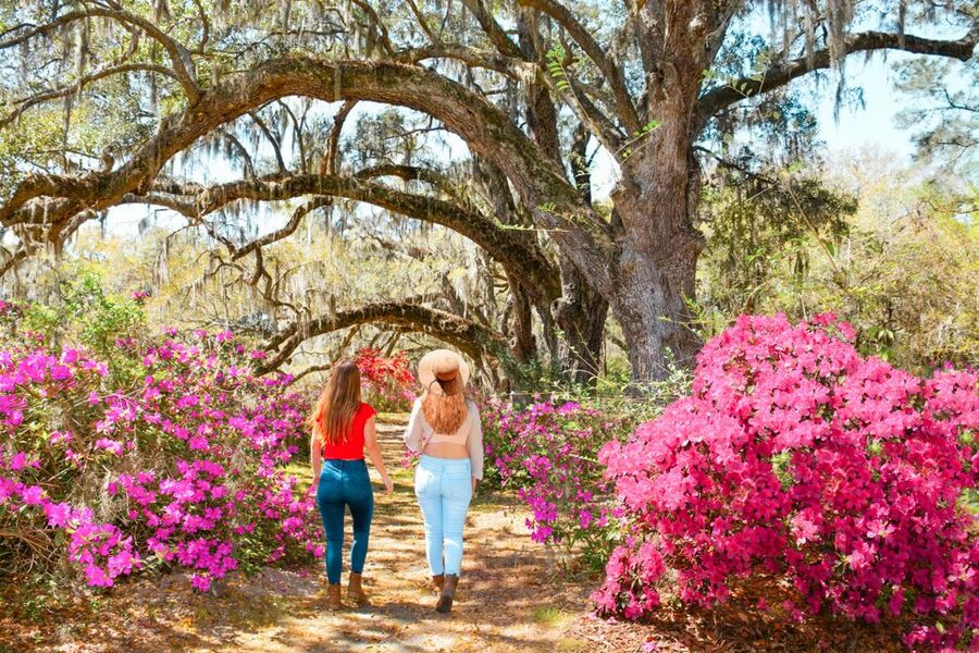 Charleston: Magnolia Plantation Entry & Tour with Transport - Weather, Shoes, and What to Bring