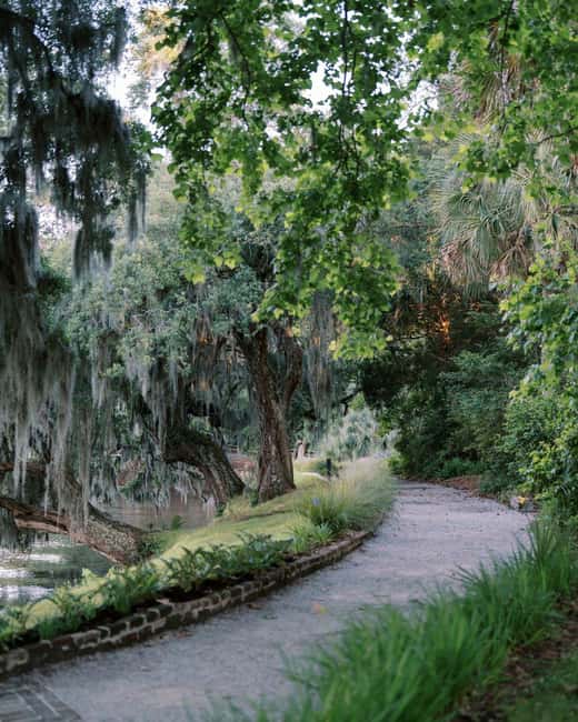 Charleston: Magnolia Plantation & Gardens Guided Tour - Audubon Swamp Garden + Wildlife Center: Your Self-Paced Middle of the Day