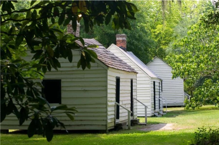 Charleston: Magnolia Plantation & Gardens Guided Tour - Who This Tour Fits Best (and Who Should Skip It)