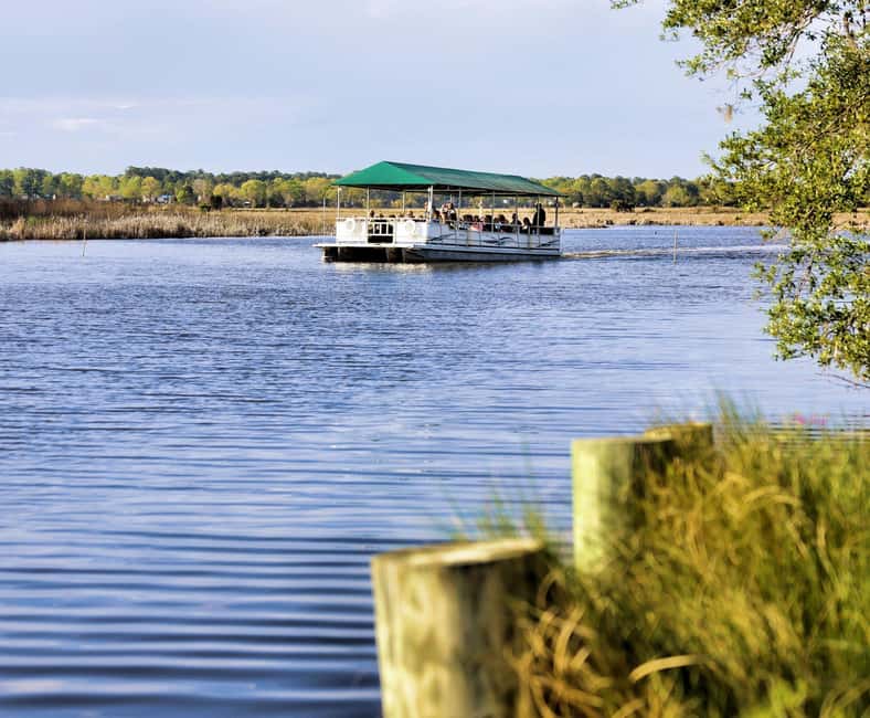 Charleston: Magnolia Plantation & Gardens Guided Tour - Should You Book This Charleston Magnolia Plantation Tour?