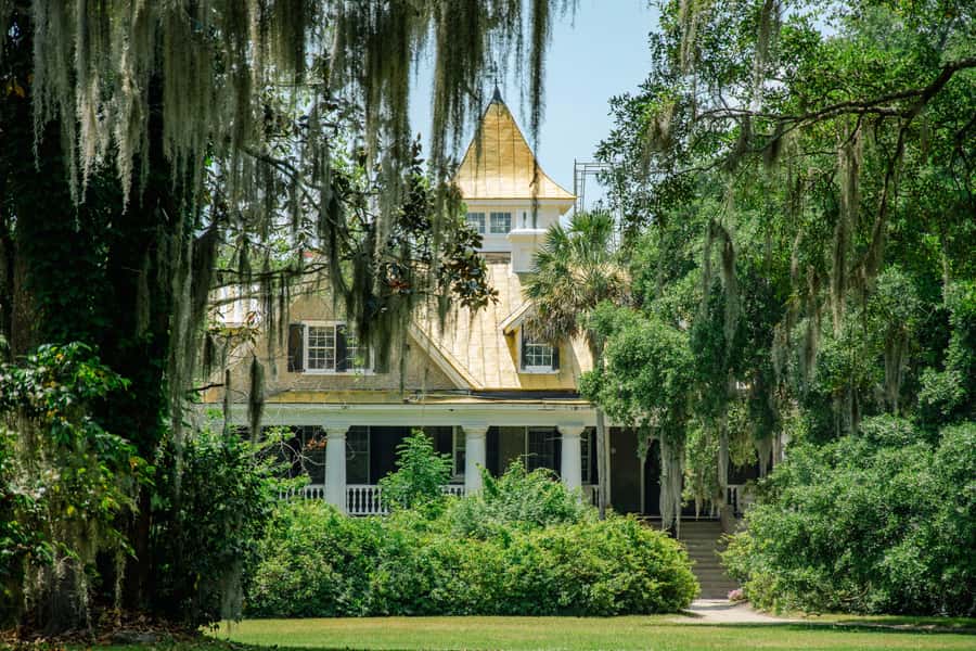 Charleston: Magnolia Plantation with Transport and City Tour - Key Highlights You Should Care About