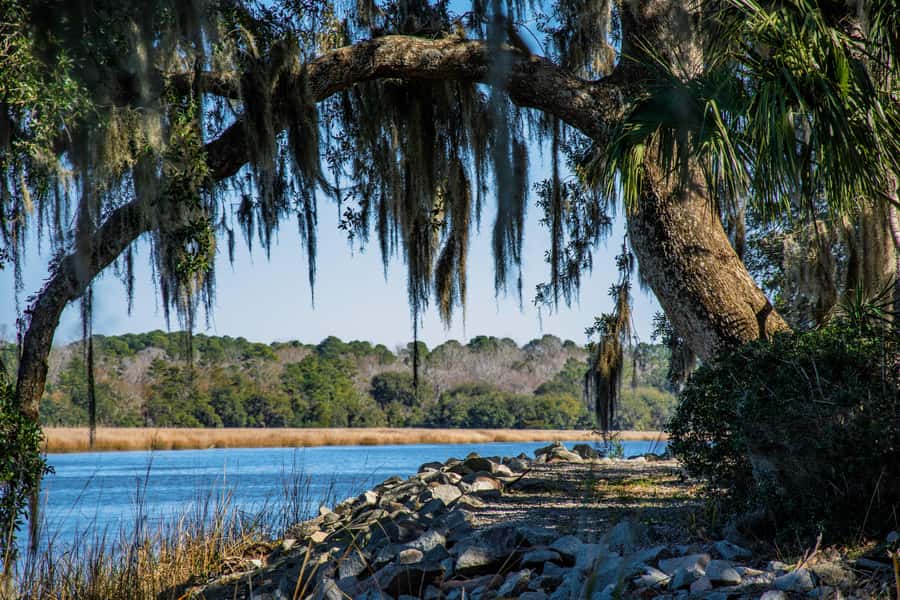 Charleston: Magnolia Plantation with Transport and City Tour - Magnolia Plantation + Charleston in One Day: Why This Combo Works