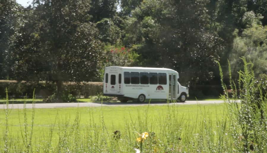 Charleston: Magnolia Plantation with Transport and City Tour - Magnolia Plantation Grounds: Gardens, Tram Time, and Guided Stops
