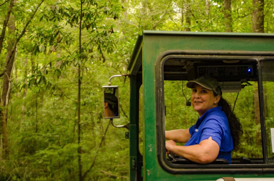 Charleston: Magnolia Plantation with Transport and City Tour - Your Free Time at Magnolia: Use It Like a Smart Plan