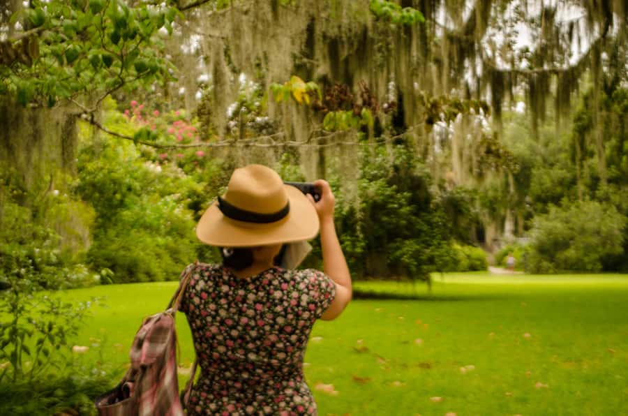 Charleston: Magnolia Plantation with Transport and City Tour - Getting Rolling: Charleston Visitor Center to Magnolia