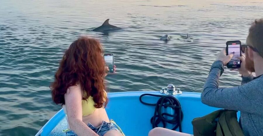 Charleston: Morris Island Dolphin Cruise with Beachcombing - Key reasons this cruise is worth your time