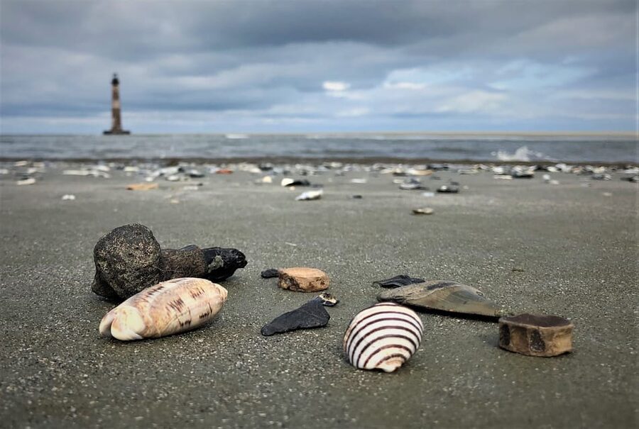 Charleston: Morris Island Dolphin Cruise with Beachcombing - Should you book the Morris Island dolphin cruise with beachcombing?