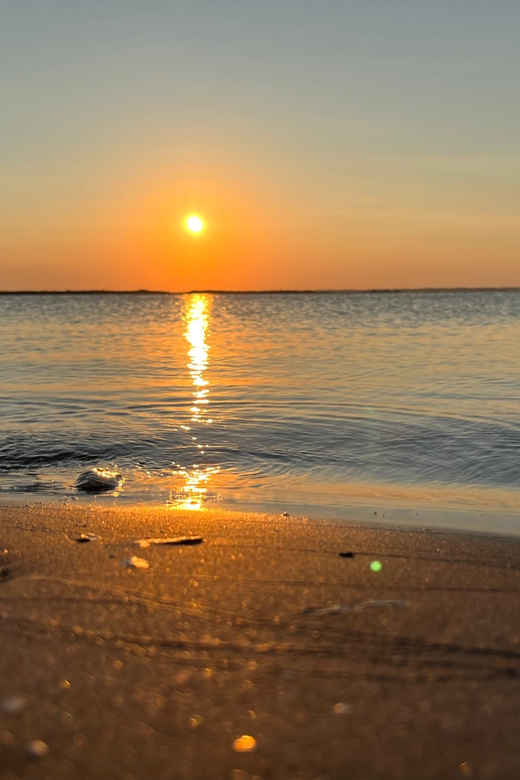 Charleston: Morris Island Dolphin Cruise with Beachcombing - Make it your own: private cruise vibes and BYOB flexibility