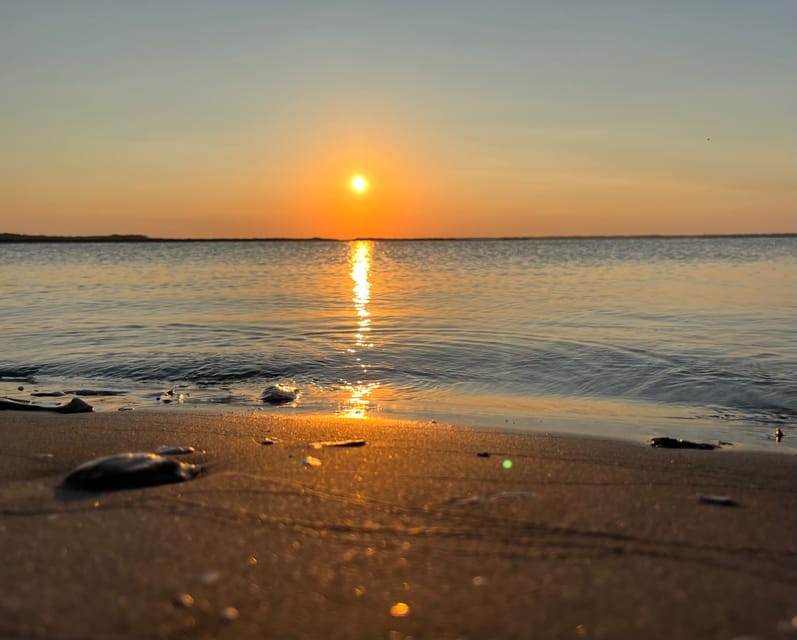 Charleston: Morris Island Dolphin Cruise with Beachcombing - Practical tips so your day runs smooth