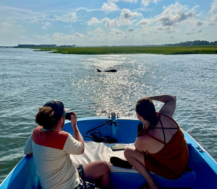 Charleston: Morris Island Dolphin Cruise with Beachcombing - Who this cruise fits best (and who should skip it)