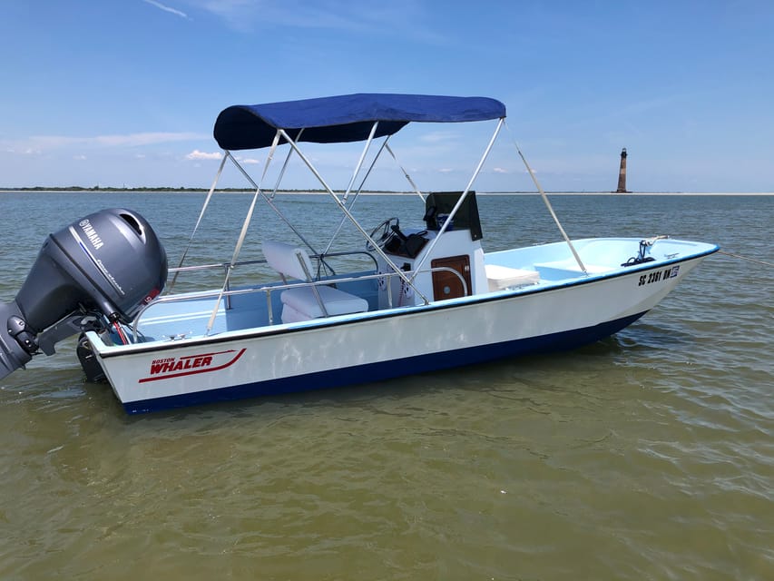 Charleston: Morris Island Dolphin Cruise with Beachcombing - Folly Island salt marsh creeks: where dolphin spotting becomes the plan