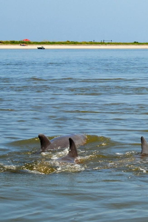 Charleston: Morris Island Lighthouse Eco-Boat Tour - Key points to know before you go