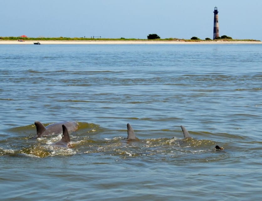 Charleston: Morris Island Lighthouse Eco-Boat Tour - Tidal creeks to Morris Island Lighthouse: how the dolphin-watching part works