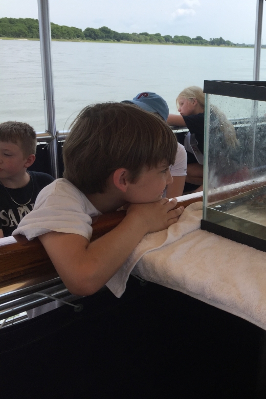 Charleston: Morris Island Nature Boat Tour with Naturalist - Key things that make this Morris Island tour special