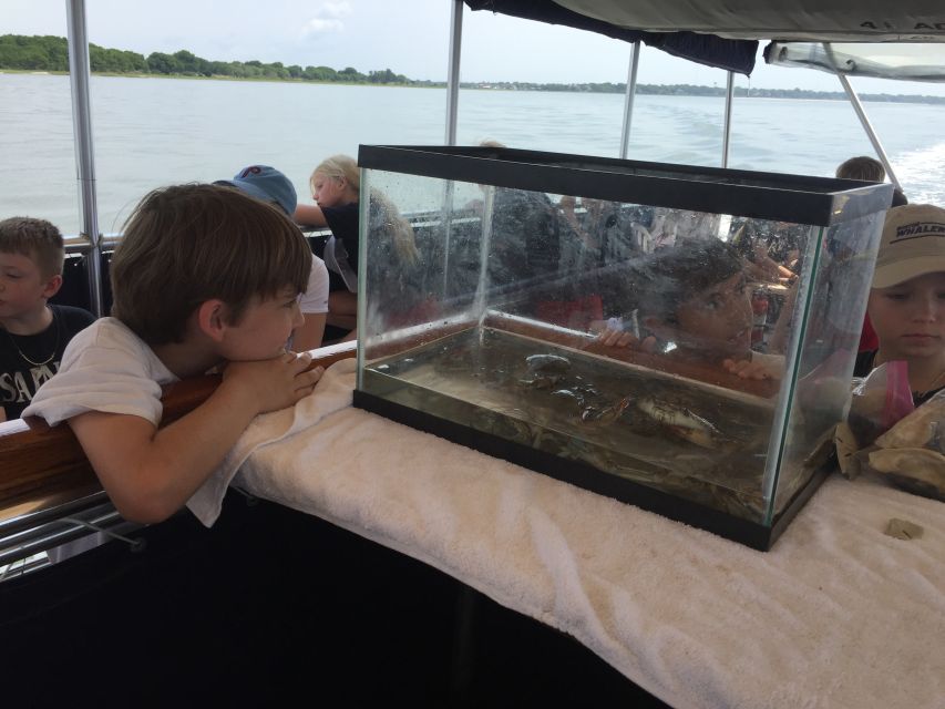 Charleston: Morris Island Nature Boat Tour with Naturalist - How the naturalist makes the cruise feel personal