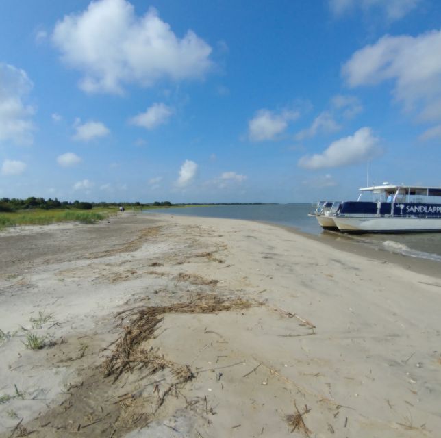 Charleston: Morris Island Nature Boat Tour with Naturalist - Price check: how $55 stacks up for what you get