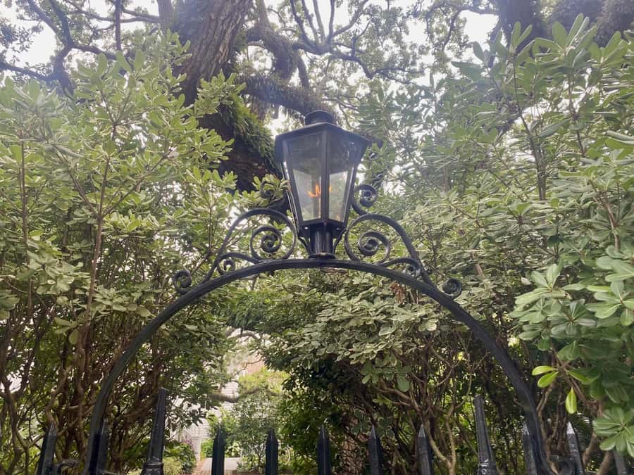 Charleston: Outer Banks Film Locations Tour - Price and Value: What $225 Buys You Here