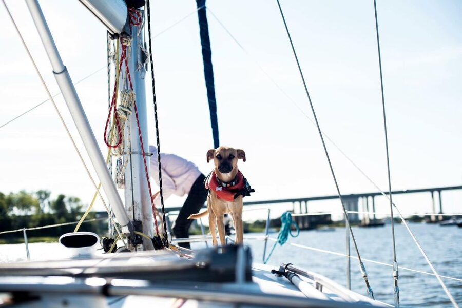 Charleston: Private BYOB Luxury Yacht Cruise - Daytime vs Sunset: Choosing Your Best Light