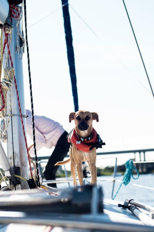Charleston: Private BYOB Luxury Yacht Cruise - The 150-Minute Itinerary: What Happens After You Meet at the Marina