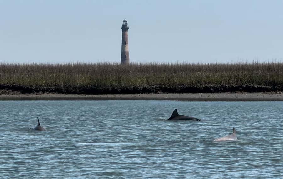 Charleston: Private Shark-tooth hunt and Lighthouse Viewing - Morris Island Lighthouse: 161 Feet of Real-World Scale