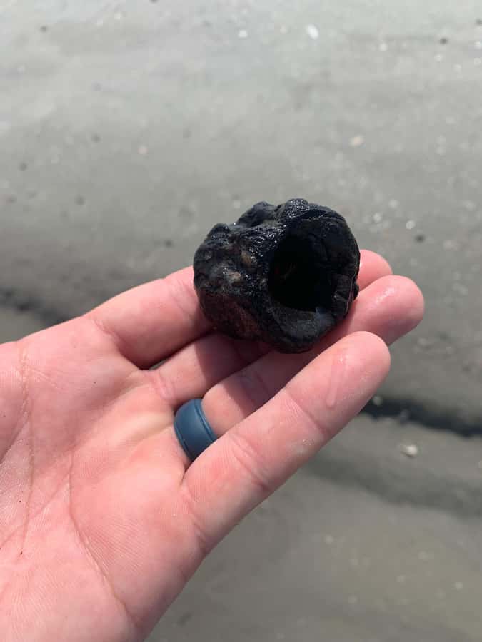 Charleston: Private Shark-tooth hunt and Lighthouse Viewing - The Shark-Tooth Hunt on Morris Island Beach