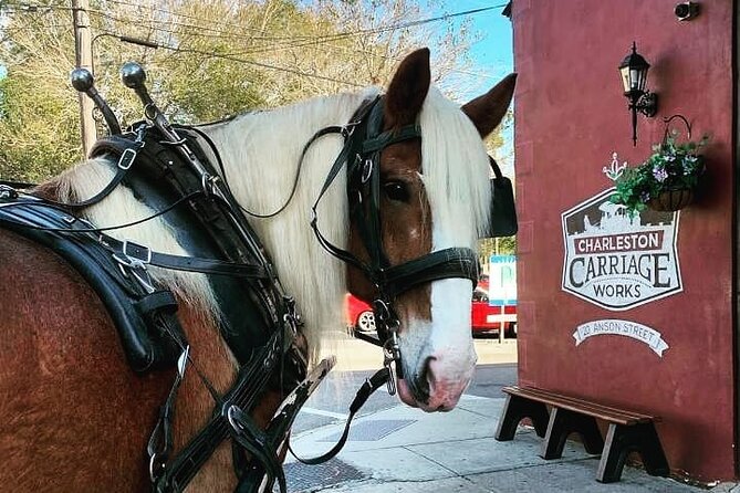 Charleston's Historic Residential Horse and Carriage Tour - Key highlights worth planning around