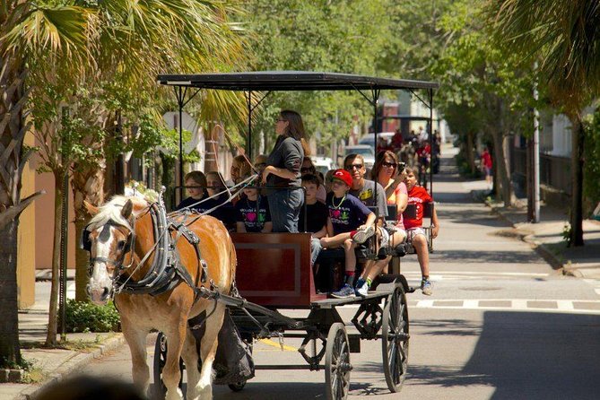 Charleston's Historic Residential Horse and Carriage Tour - The 1-hour custom carriage ride: distance and pace that fit real plans