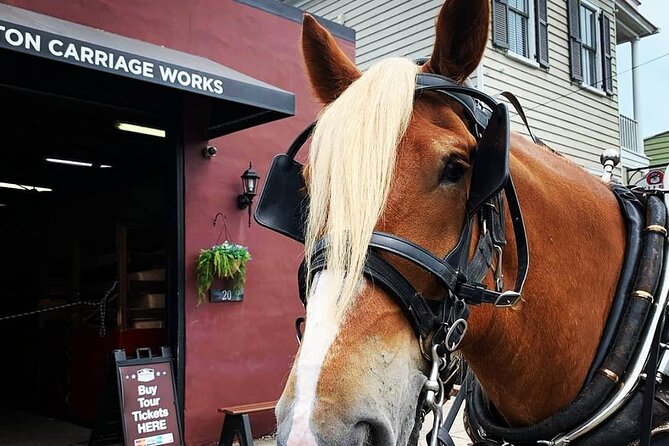 Charleston's Historic Residential Horse and Carriage Tour - Picking your departure time every 30 minutes