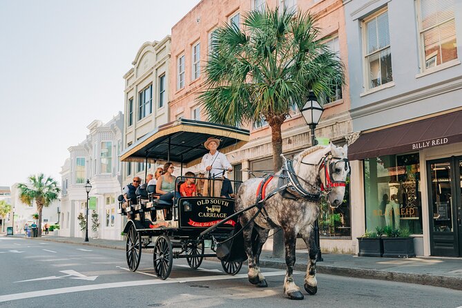 Charleston’s Old South Carriage Historic Horse & Carriage Tour - Photo Ops Without the Strain: Wrought Iron Gates and Garden Views