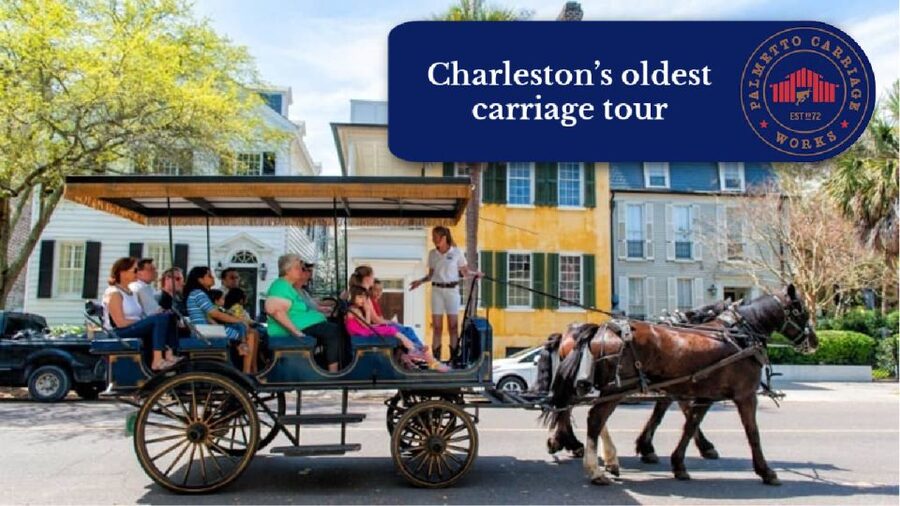 Charleston, SC: Private Daytime Horse-Drawn Carriage Ride - Key highlights worth planning around
