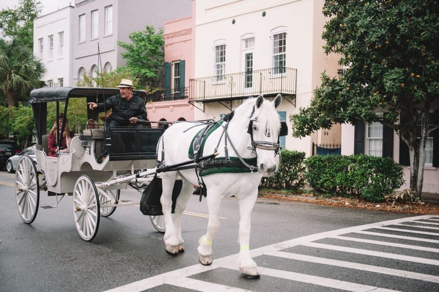 Charleston, SC: Private Daytime Horse-Drawn Carriage Ride - Should you book? My honest take