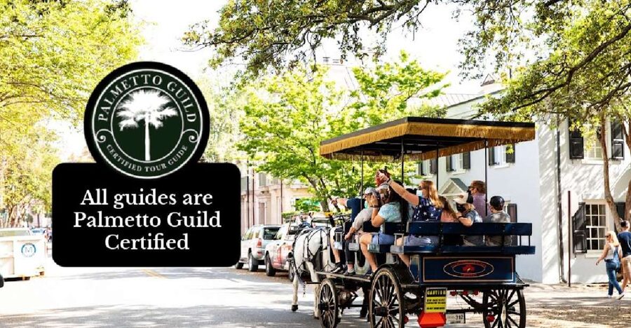 Charleston, SC: Private Daytime Horse-Drawn Carriage Ride - Why Charleston looks better from a carriage seat