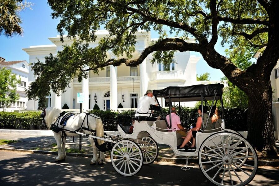 Charleston, SC: Private Daytime Horse-Drawn Carriage Ride - Rainbow Row, The Battery, and Waterfront Park from carriage level