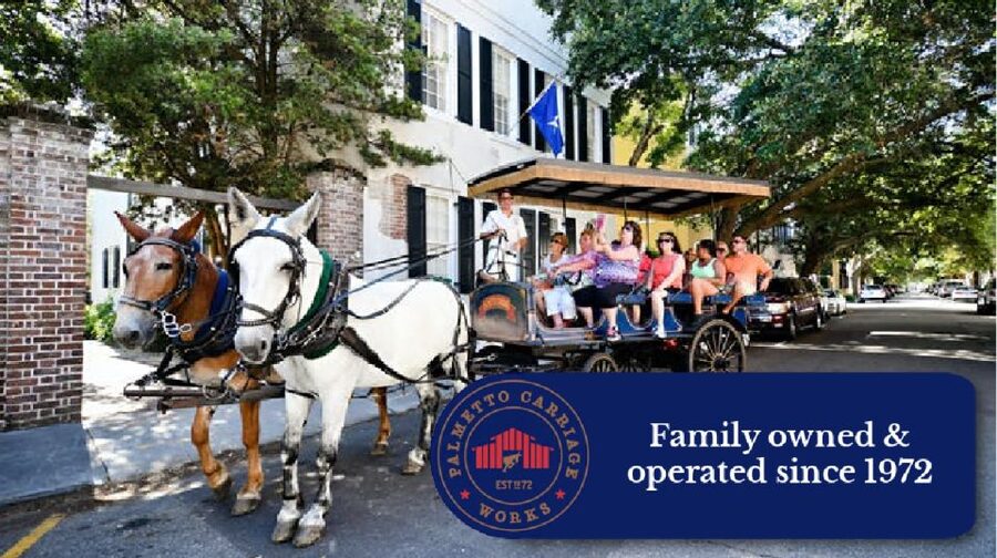 Charleston, SC: Private Daytime Horse-Drawn Carriage Ride - Price and value: when $250 per group makes sense