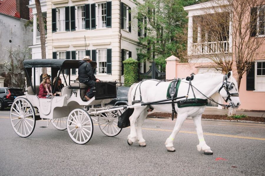 Charleston, SC: Private Daytime Horse-Drawn Carriage Ride - Meeting at Palmetto Carriage Works (Big Red Barn off Market Street)