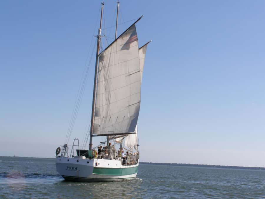Charleston: Schooner Sailing Harbor Tour & Dolphin Watch - Dolphin Watch Reality Check (and How the Crew Helps You Notice)