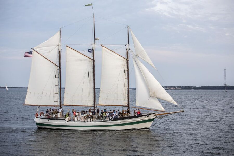 Charleston: Schooner Sailing Harbor Tour & Dolphin Watch - Should You Book the Charleston Schooner Pride Dolphin Watch?