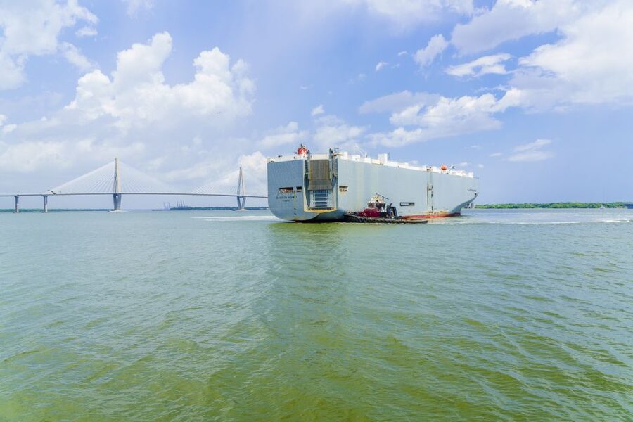Charleston: Sightseeing Harbor Tour & Dolphin Watch - Castle Pinckney: A Fortress Stop That Looks Better From Here