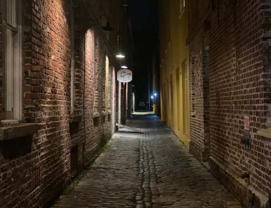 Charleston: Spirits & Spirits Haunted Pub Crawl - What You Hear: Cryptids, Demons, Prohibition, and the Boo Hag Trail