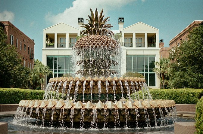 Charleston Style VIP Tour - Boone Hall Plantation or McLeod Historic Site: choose the lens you want