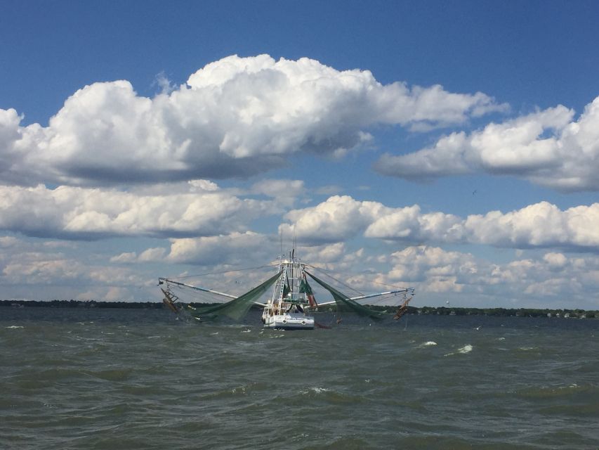 Charleston: Sunset Harbor Cruise - Why Charleston’s Sunset Harbor Cruise Feels Like the Best Seat in Town