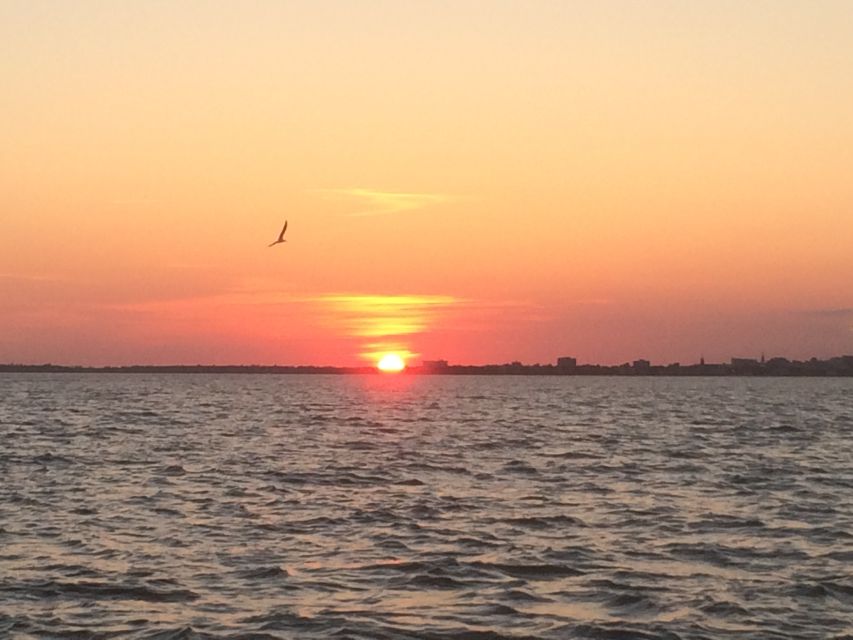 Charleston: Sunset Harbor Cruise - Dolphins, Shore Birds, and the Real-Time Harbor Nature Show