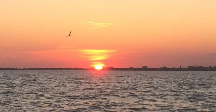 Charleston: Sunset Harbor Cruise - From Sandlapper Water Tours Check-In to Smart-Casual Boarding