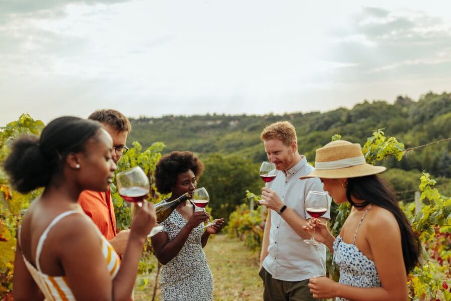 Charleston: Wadmalaw Island Wine Tasting and Tea Garden Trip - Key highlights to look forward to