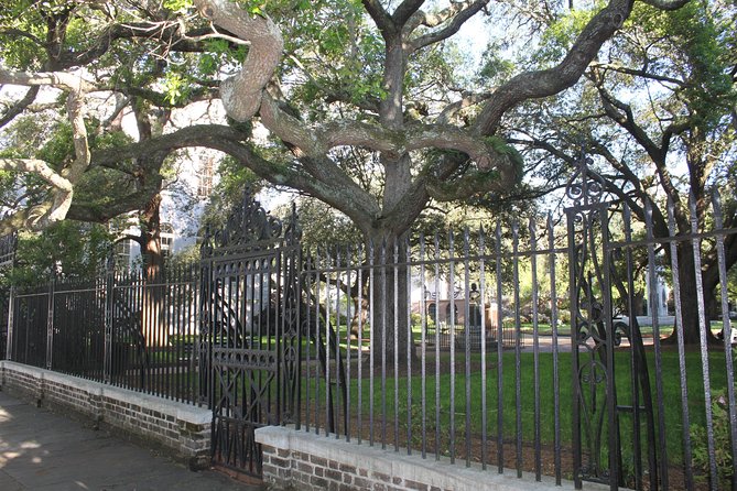 City Bus Tour with Charleston Museum Admission - Battery Waterfront and the Sea Wall: harbor views you can frame like a local