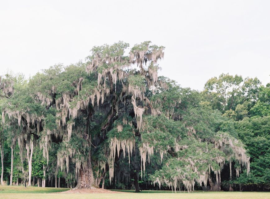 Drayton Hall: Interpreter Guided Tour, Charleston, SC - Drayton Hall in plain English: why this place matters