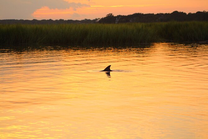 Folly Beach Dolphin Viewing Boat Excursion and Estuary Tour - Estuary education: spartina, oysters, and pluff mud